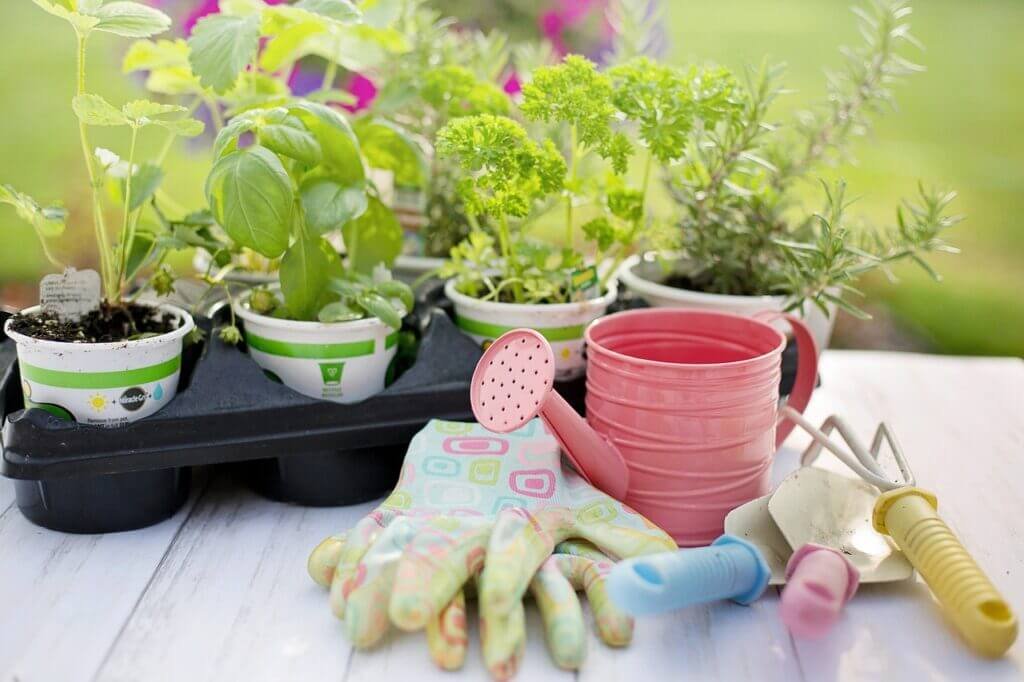 Are Urban Gardens Good For Ecosystems And Humans?