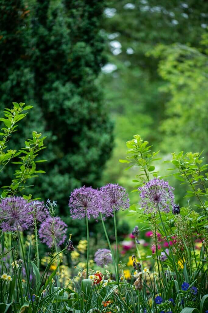 Urban Gardening Tips For Creating A Relaxing Meditation Garden