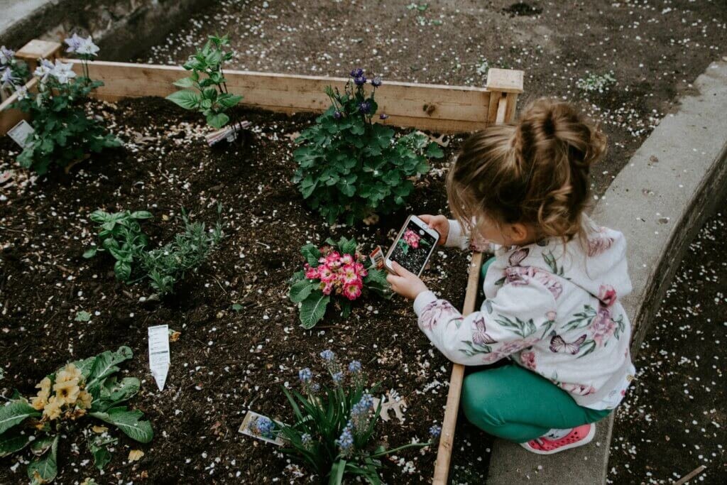 Urban Gardening Tips For Creating A Relaxing Meditation Garden