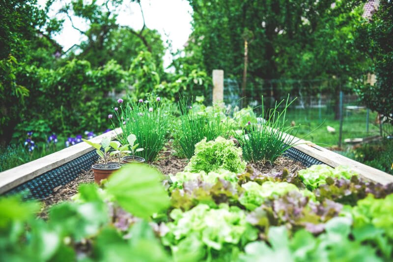 creative ways to repurpose containers for urban gardening 6 scaled