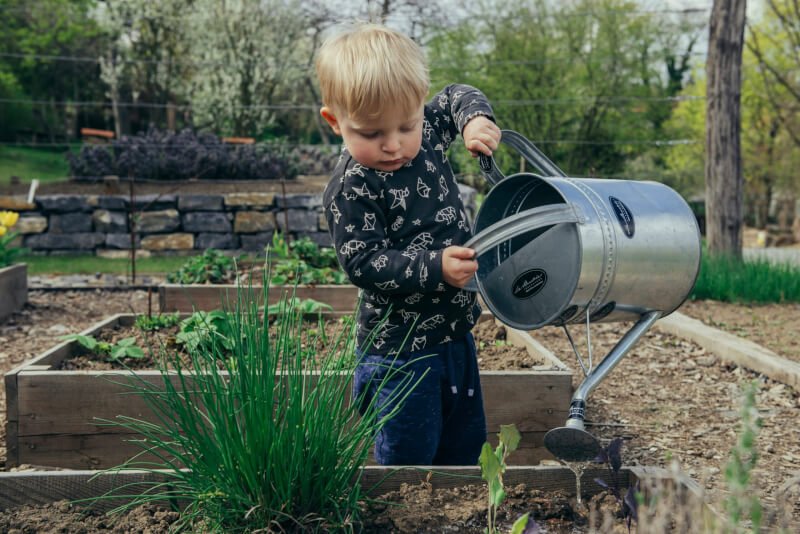 top 10 vegetables and herbs that thrive in urban gardens scaled